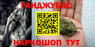 ALPHA PVP Гай