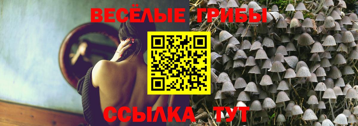 купить  сайты  Псилоцибиновые грибы мицелий  Псилоцибиновые грибы Cubensis  Вход с VPN  Беслан 